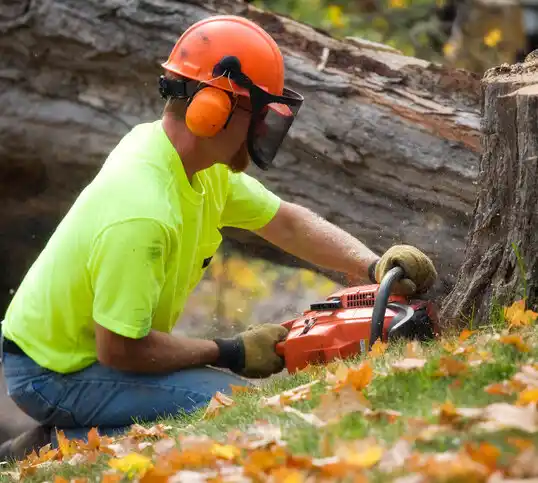 tree services Inkster